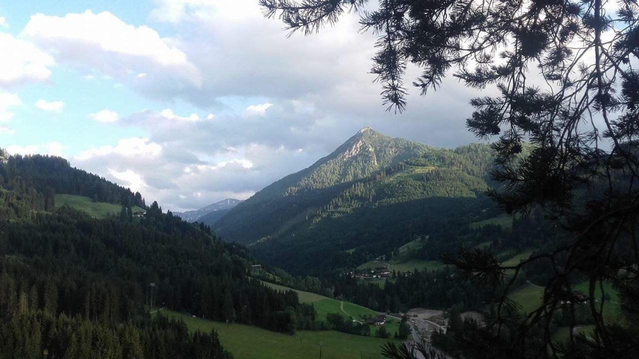 Appartement Bettina Mitterwallner Altenmarkt im Pongau Dış mekan fotoğraf