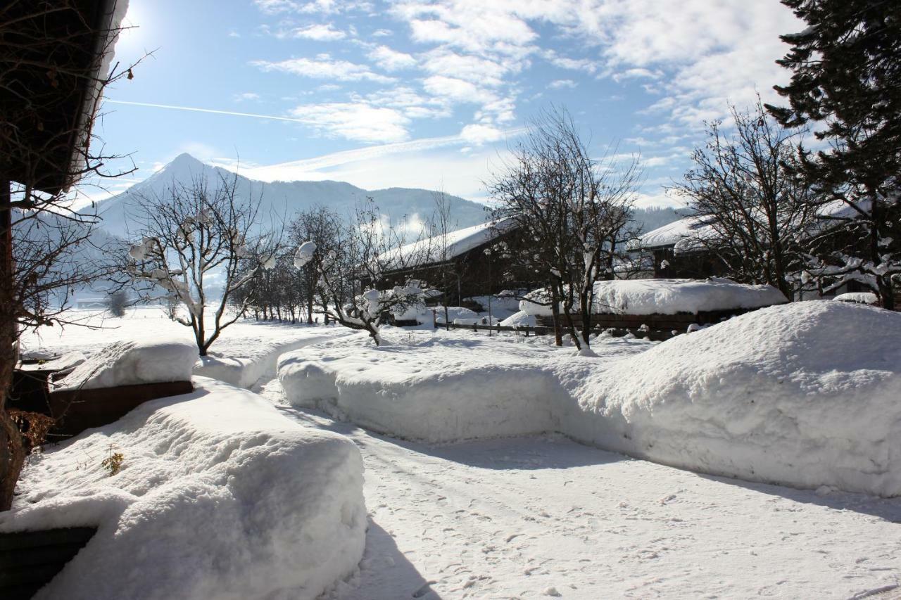 Appartement Bettina Mitterwallner Altenmarkt im Pongau Dış mekan fotoğraf